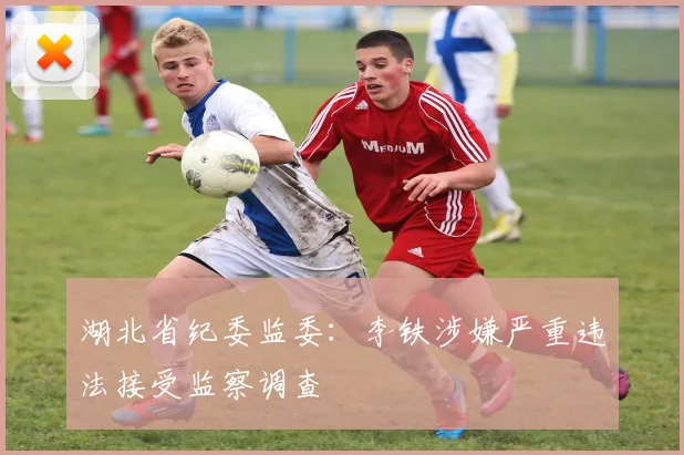 湖北省纪委监委：李铁涉嫌严重违法接受监察调查