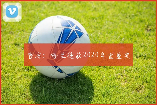 官方：哈兰德获2020年金童奖