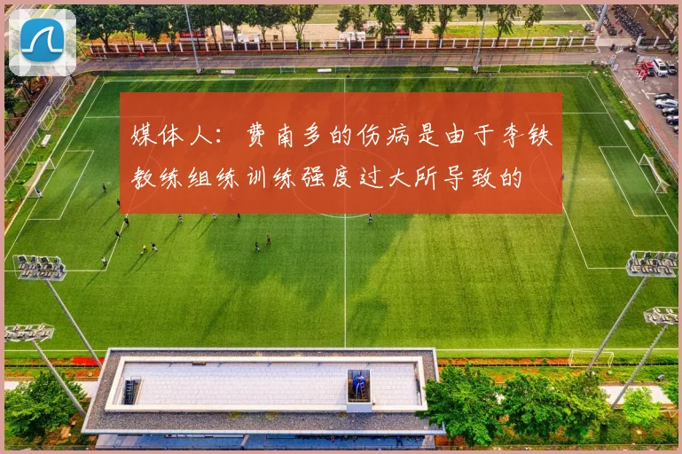 媒体人：费南多的伤病是由于李铁教练组练训练强度过大所导致的