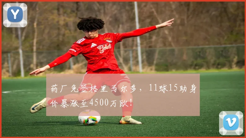 药厂免签格里马尔多，11球15助身价暴涨至4500万欧！